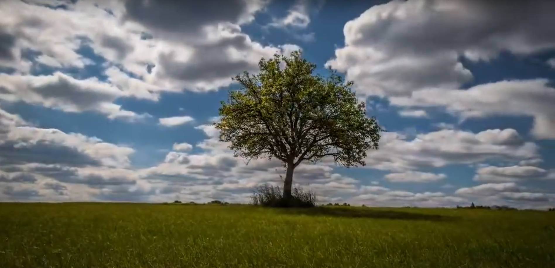 Natureza